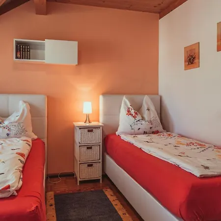 Armonia Altach, 2-6 P, 2 Schlafzimmer, Kueche, Parkplatz, Balkon, Wifi, Garten, Stellplatz Fuer Ski Exterior photo