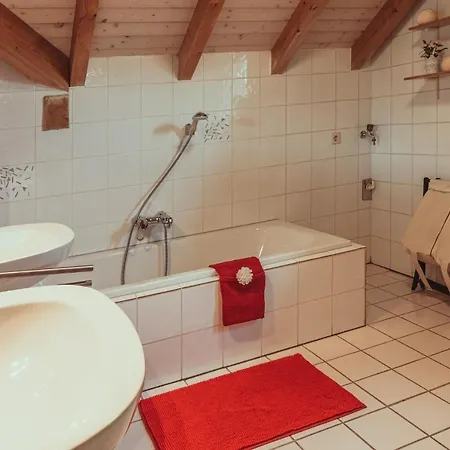 Armonia Altach, 2-6 P, 2 Schlafzimmer, Kueche, Parkplatz, Balkon, Wifi, Garten, Stellplatz Fuer Ski Exterior photo